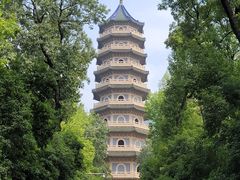 -灵谷景区