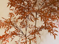 -小城牛事·鲜牛肉火锅(万达店)