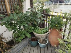 景观位-二十八里太湖船菜(吉祥路店)