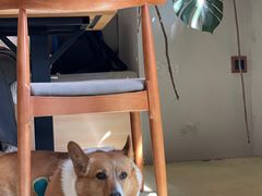 -小意思咖啡店(草桥店)