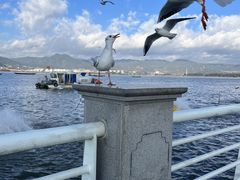-海埂大坝