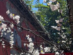 -潭柘寺景区