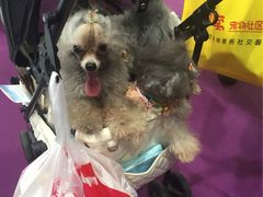 -东浩兰生上海世博展览馆