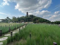 -红花山公园