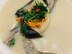 东坡河豚-肆月河豚·新淮扬(金融街店)