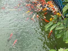 -成都欢乐谷