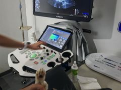 -拜鲁耶动物诊疗中心·宠家动物医院