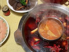-田鸭肠·非遗火锅(彭州店)