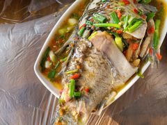 -正荣酒家葱葱鲫鱼