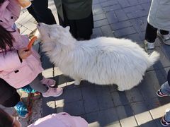 -北京鹿世界主题园