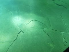 -白鹤梁水下博物馆