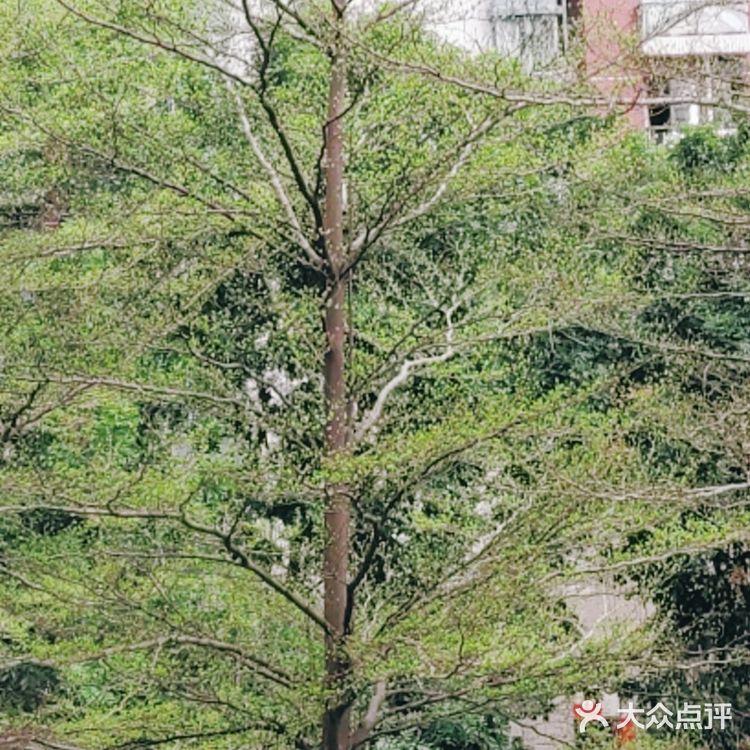 行云流水… 能够给人无尽的遐想和思念