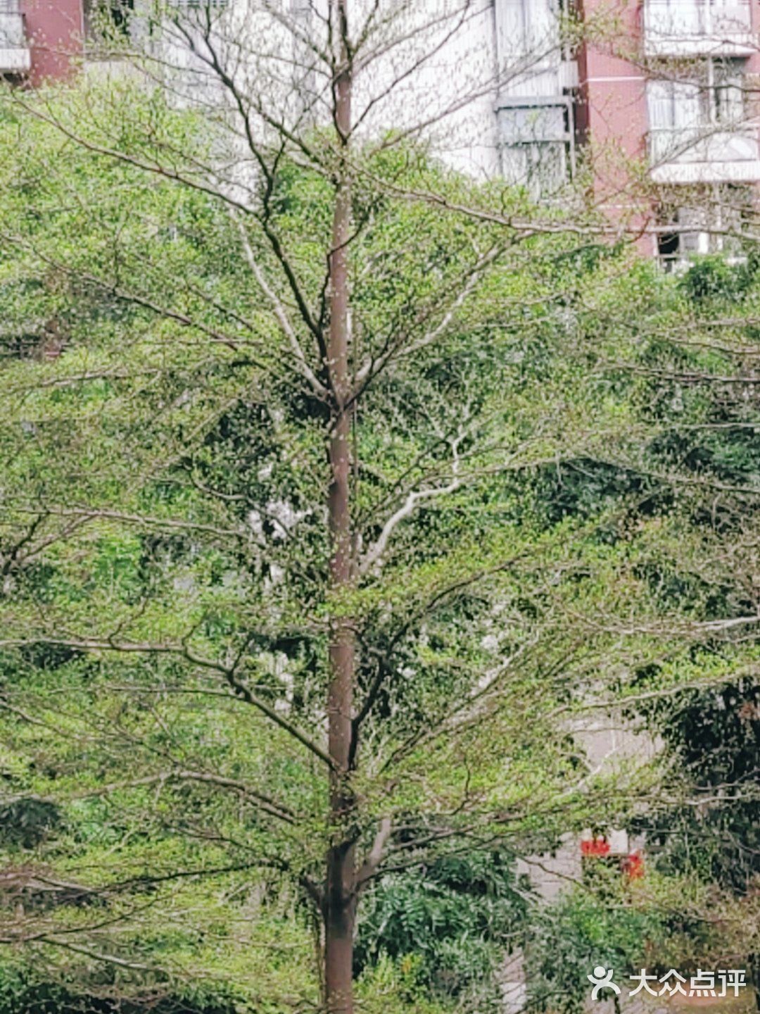 行云流水… 能够给人无尽的遐想和思念