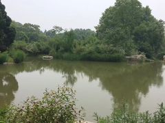-习家池