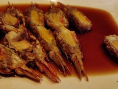-万豪中餐厅·粤菜·北京粤财JW万豪酒店
