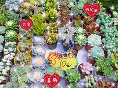 -秦美花卉(天朗·莱茵小城2期店)