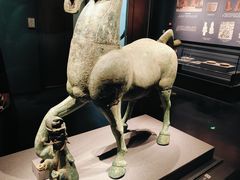 -广西壮族自治区博物馆