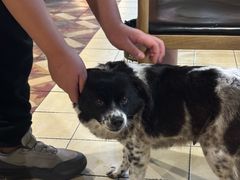 -下塘街25号农家菜馆(新场店)