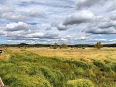 -塞罕坝国家级自然保护区