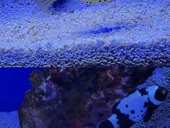-上海海洋水族馆
