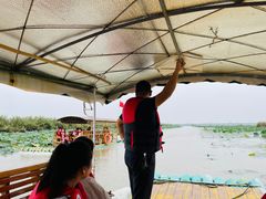 -焦岗湖旅游度假区
