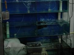 -老闽味姜母鸭·煎蟹闽菜餐厅(曾厝垵地标店)