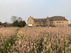 -中国天府农业博览园