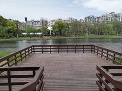 -新江湾城公园