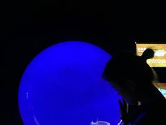 -江和美海洋公园