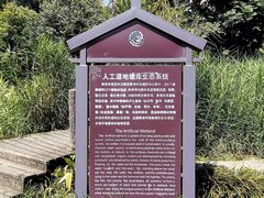 -成都市活水公园
