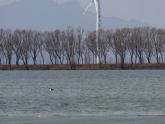 -野鸭湖国家湿地公园