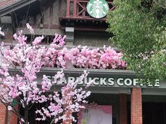 -星巴克臻选(思南公馆店)