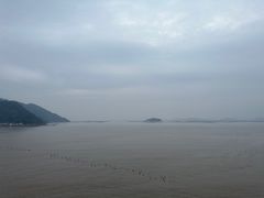 -北岐滩涂