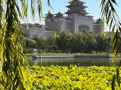-莲花池公园