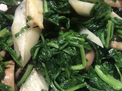 塔菜冬笋-老吉士酒家(天平路店)