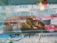 -桔子海鲜烧烤大排档(台东店)