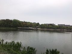 -新江湾城公园