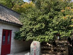 -青岛崂山太清宫