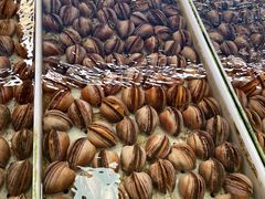 -南沙十九涌渔人码头-南门