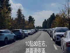 -广富林郊野公园