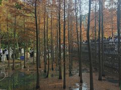 -梅峰山地公园