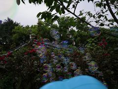 -乌山风景区