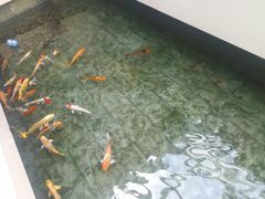 -听松楼·花园酒店·自助餐厅(红梅公园店)