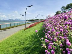 -深圳湾公园(南山区)