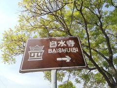 -白水寺森林公园