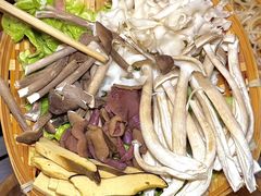 -阿山卓·野生菌火锅·纳西火塘烤肉