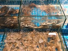 -烧货·活海鲜炭烧(湖滨商业街店)