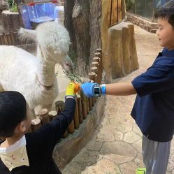 -宝燕乐园(闵行旗舰店)