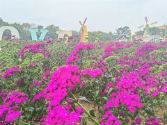 -松山湖梦幻百花洲