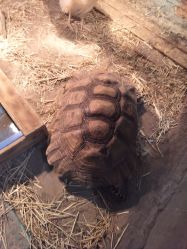 -Zoolung Zoolung动物主题公园(海信广场店)